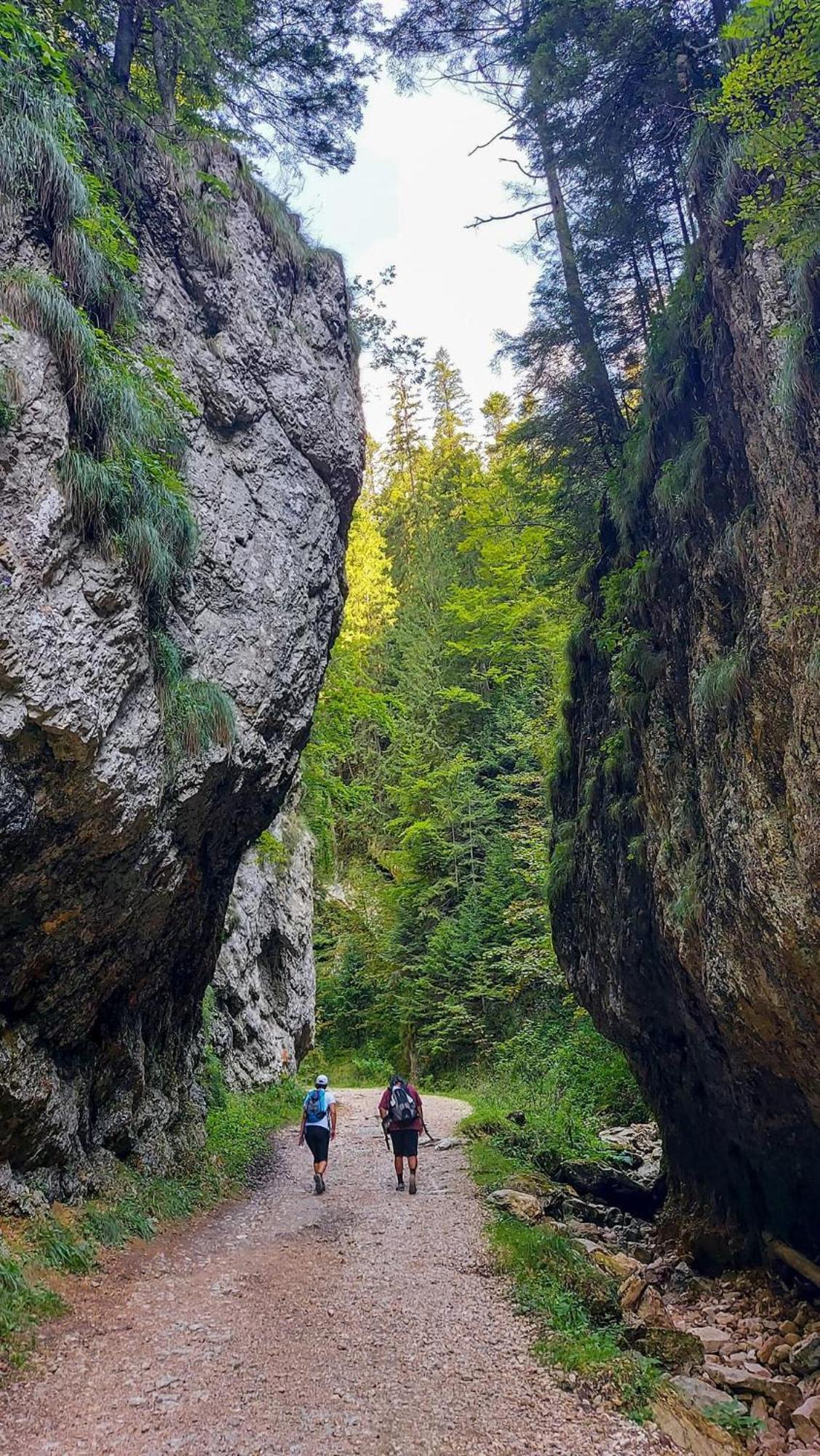 Cazare Zorilor Zărneşti Pokoj fotografie