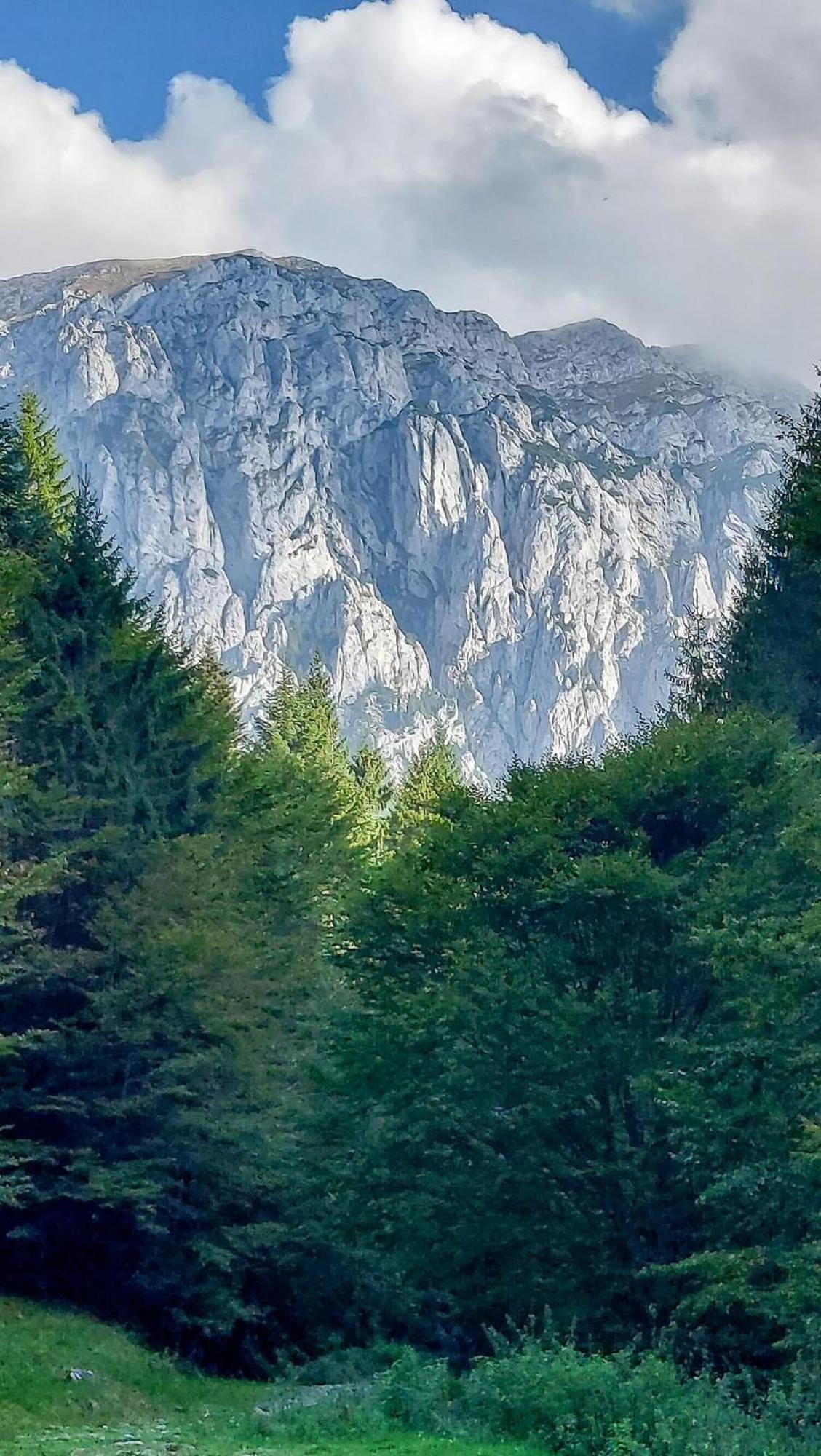 Cazare Zorilor Zărneşti Pokoj fotografie