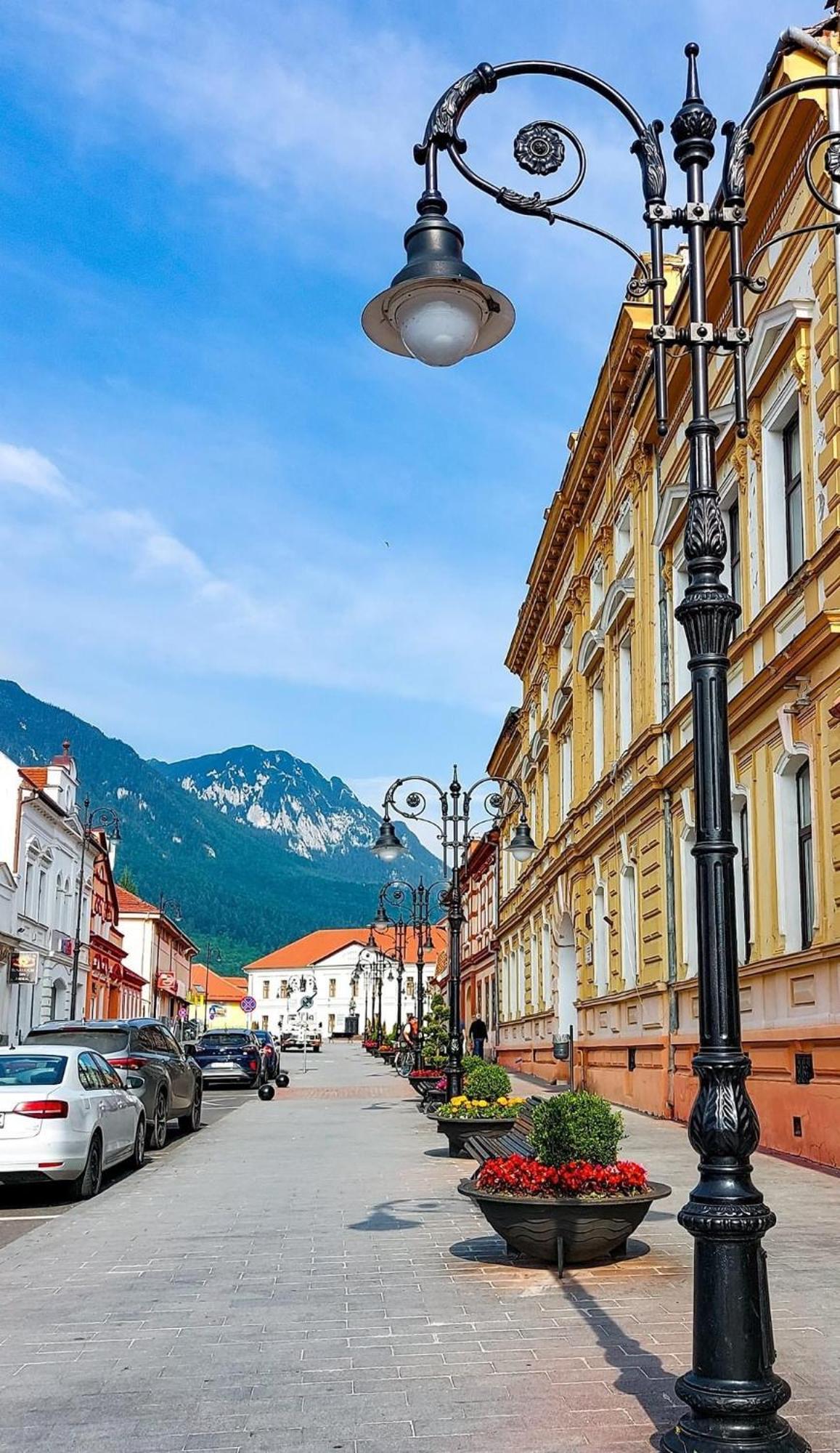 Cazare Zorilor Zărneşti Pokoj fotografie
