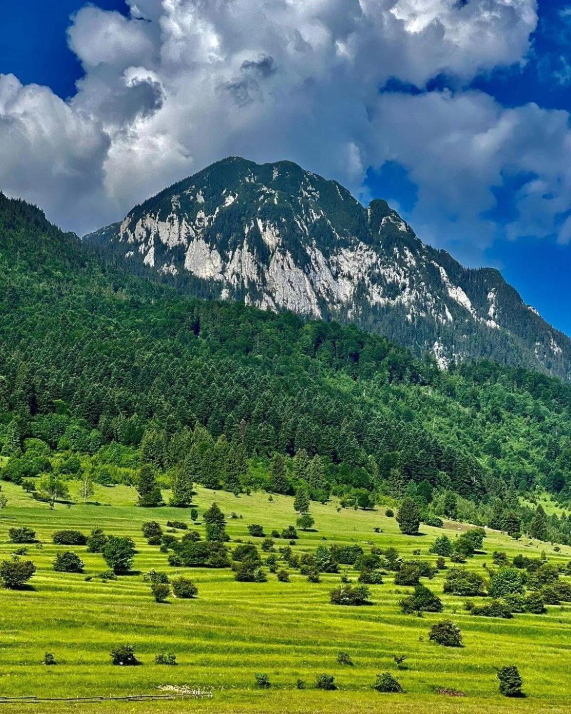 Cazare Zorilor Zărneşti Pokoj fotografie