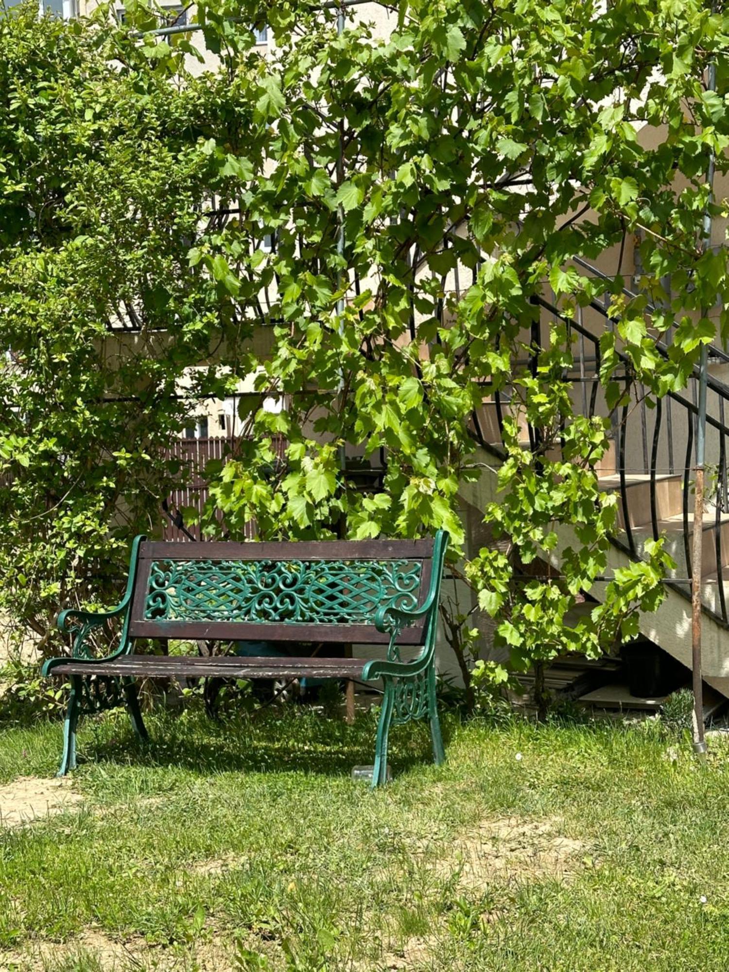 Cazare Zorilor Zărneşti Pokoj fotografie